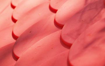 Shirley plastic roof costs