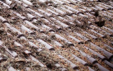 Shirley roof cleaning companies