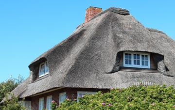 thatch roofing Shirley