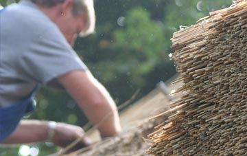 professional Shirley thatchers