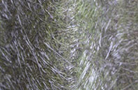 Shirley fibreglass roof work